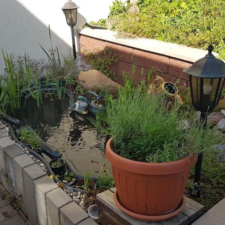 Apartment Gartenblick Neunkirchen  Bagian luar foto